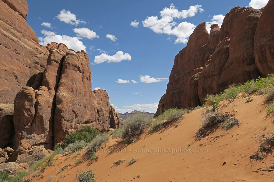 sandstone & a sand dune [Fiery Furnace, Arches National Park, Grand County, Utah]