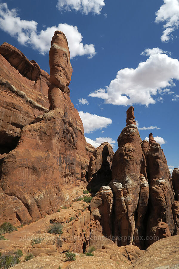 sandstone pinnacles [Fiery Furnace, Arches National Park, Grand County, Utah]