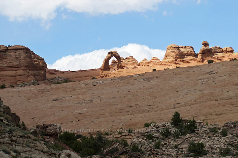 Delicate Arch [Delicate Arch Viewpoint, Arches National Park, Grand County, Utah]