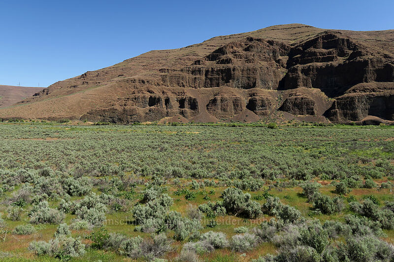 sagebrush & cliffs [Pinnacles Trail, Cottonwood Canyon State Park, Sherman County, Oregon]