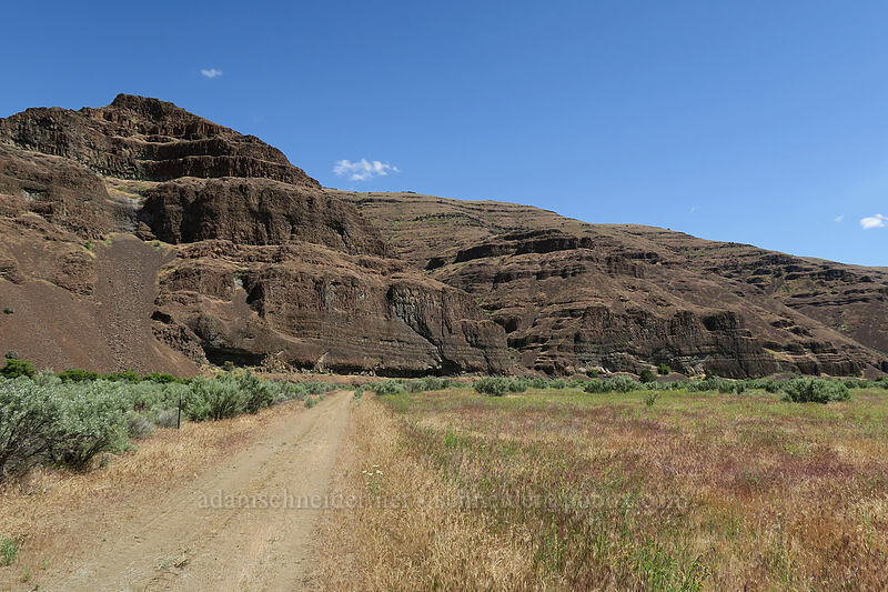 cliffs [Lost Corral Trail, Cottonwood Canyon State Park, Gilliam County, Oregon]