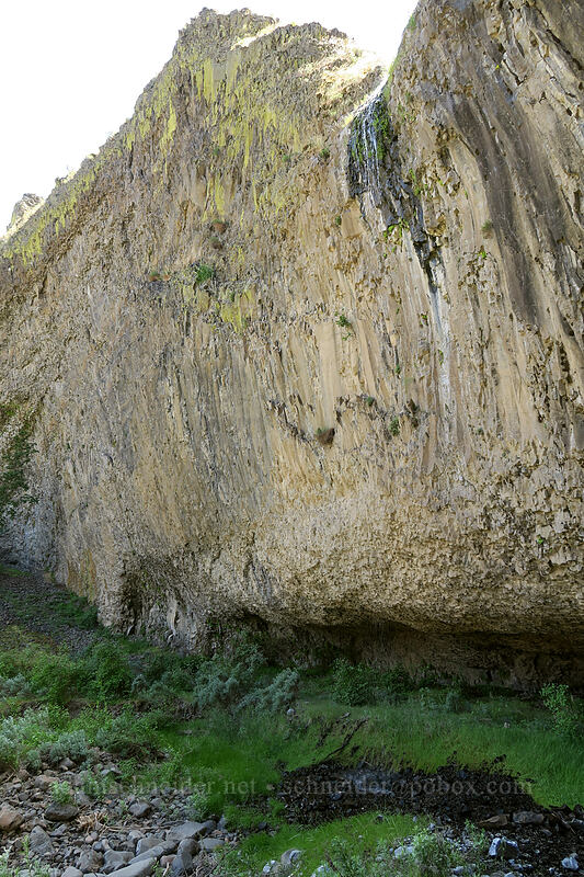 almost-dry waterfall [above Lost Corral Trail, Cottonwood Canyon State Park, Gilliam County, Oregon]