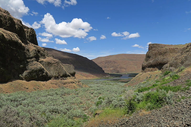 sagebrush & cliffs [above Lost Corral Trail, Cottonwood Canyon State Park, Gilliam County, Oregon]