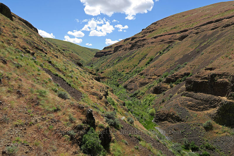 hanging valley [above Lost Corral Trail, Cottonwood Canyon State Park, Gilliam County, Oregon]