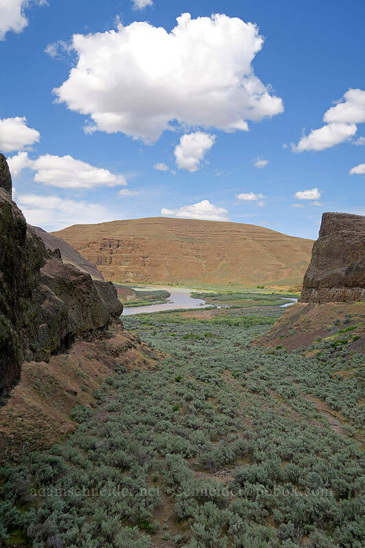 side canyon [above Lost Corral Trail, Cottonwood Canyon State Park, Gilliam County, Oregon]