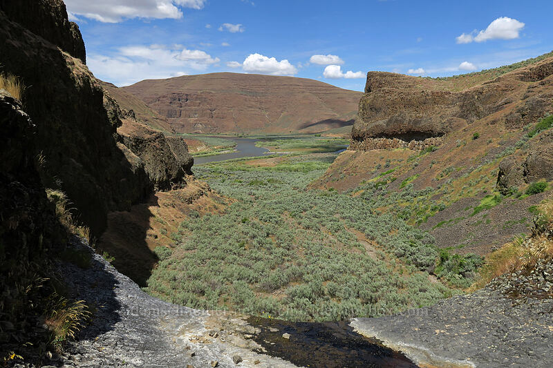 waterfall & side canyon [above Lost Corral Trail, Cottonwood Canyon State Park, Gilliam County, Oregon]