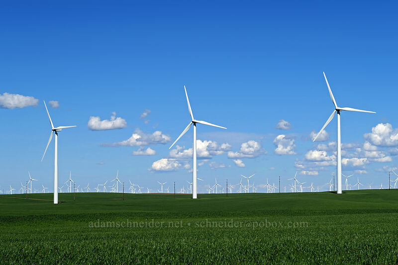 wind turbines [Wasco-Heppner Highway, Sherman County, Oregon]