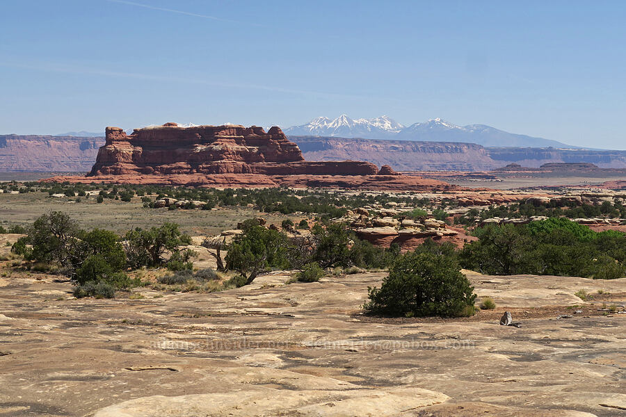 Squaw Butte & La Sal Mountains [Squaw Canyon, Canyonlands National Park, San Juan County, Utah]