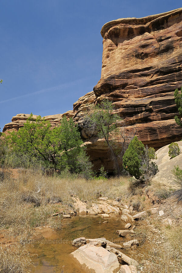 Squaw Creek [Squaw Canyon, Canyonlands National Park, San Juan County, Utah]