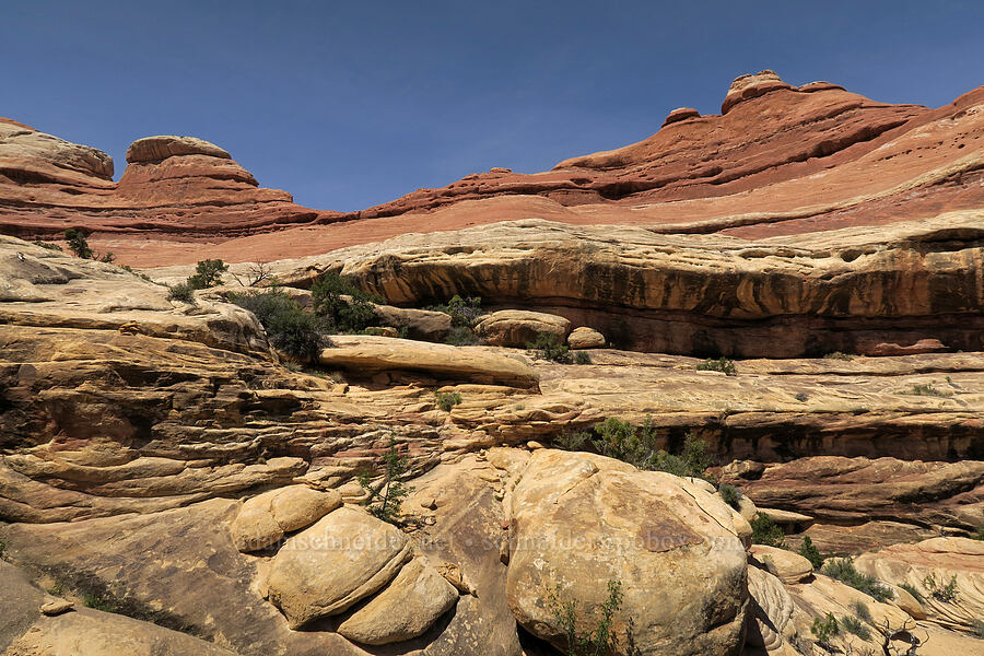 sandstone [Squaw Canyon, Canyonlands National Park, San Juan County, Utah]