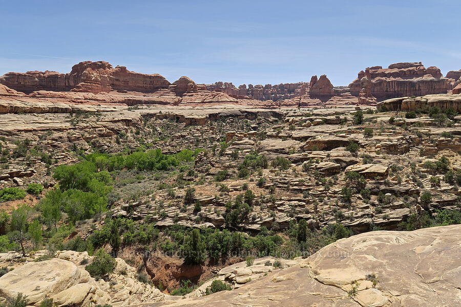 head of Squaw Canyon [Squaw Canyon, Canyonlands National Park, San Juan County, Utah]
