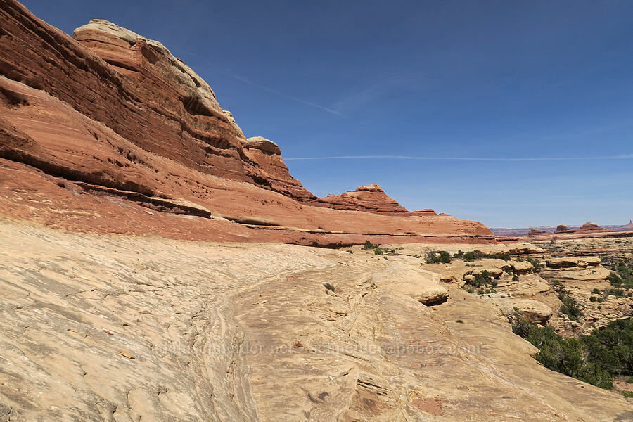 slickrock [Squaw Canyon, Canyonlands National Park, San Juan County, Utah]