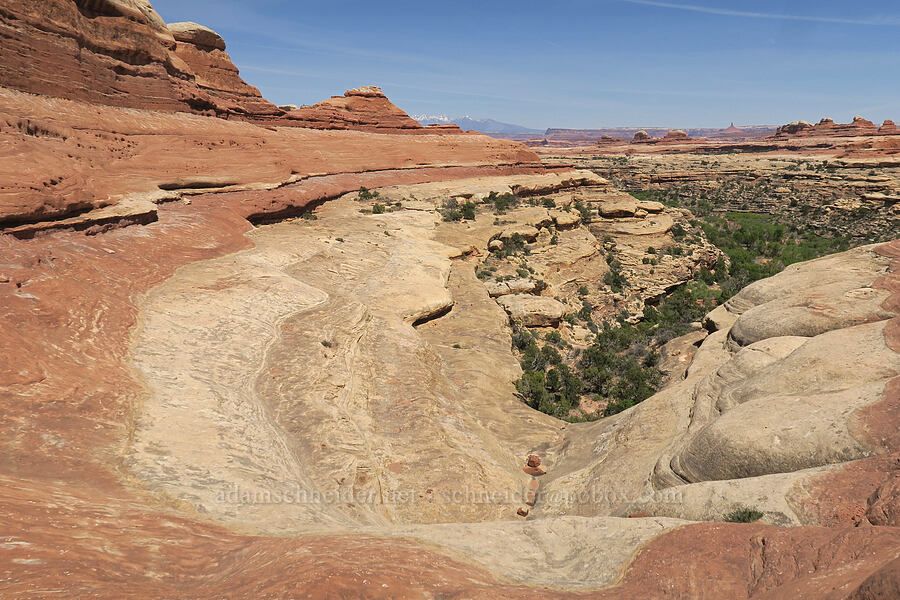 slickrock in Squaw Canyon [Squaw Canyon, Canyonlands National Park, San Juan County, Utah]