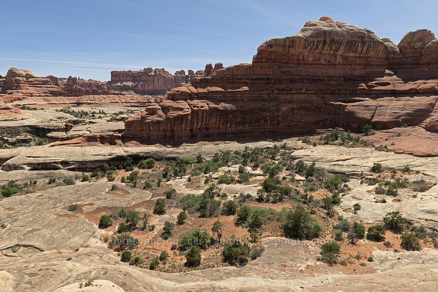 Big Springs Canyon [Squaw Canyon, Canyonlands National Park, San Juan County, Utah]