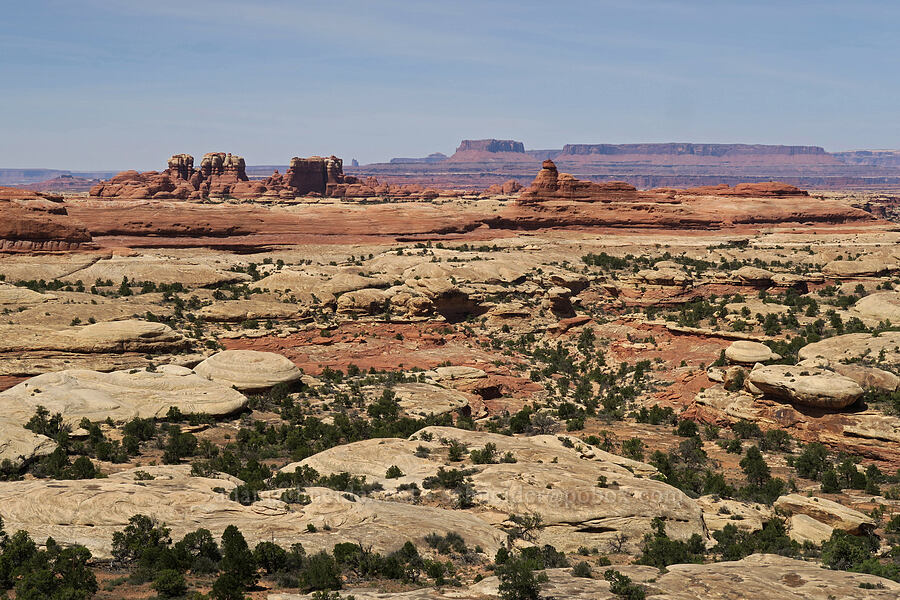 view to the north [Squaw Canyon, Canyonlands National Park, San Juan County, Utah]