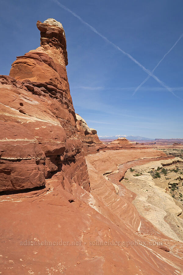 ridge between canyons [Squaw Canyon, Canyonlands National Park, San Juan County, Utah]