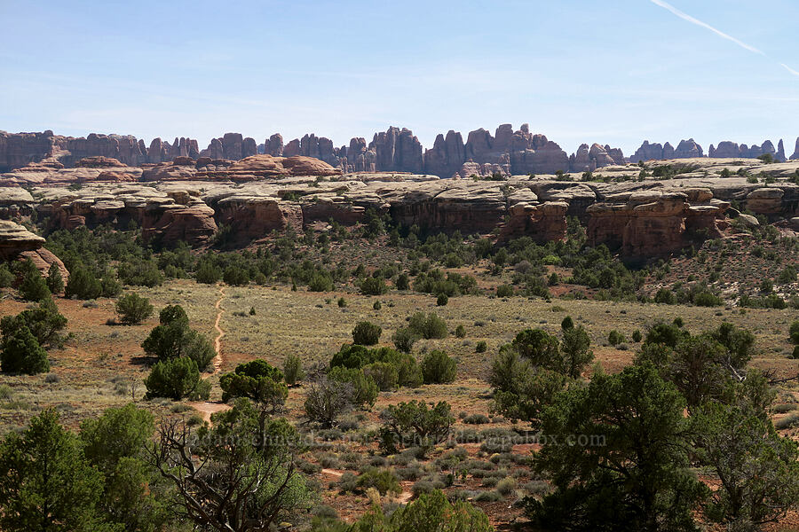Needles north of Elephant Canyon [Big Springs Canyon, Canyonlands National Park, San Juan County, Utah]
