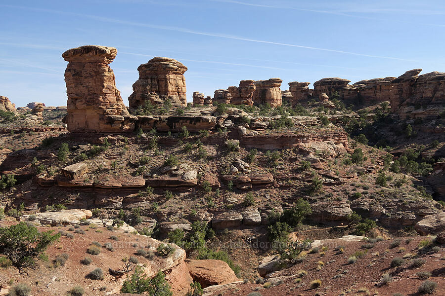 Big Springs Canyon [Big Springs Canyon Overlook, Canyonlands National Park, San Juan County, Utah]