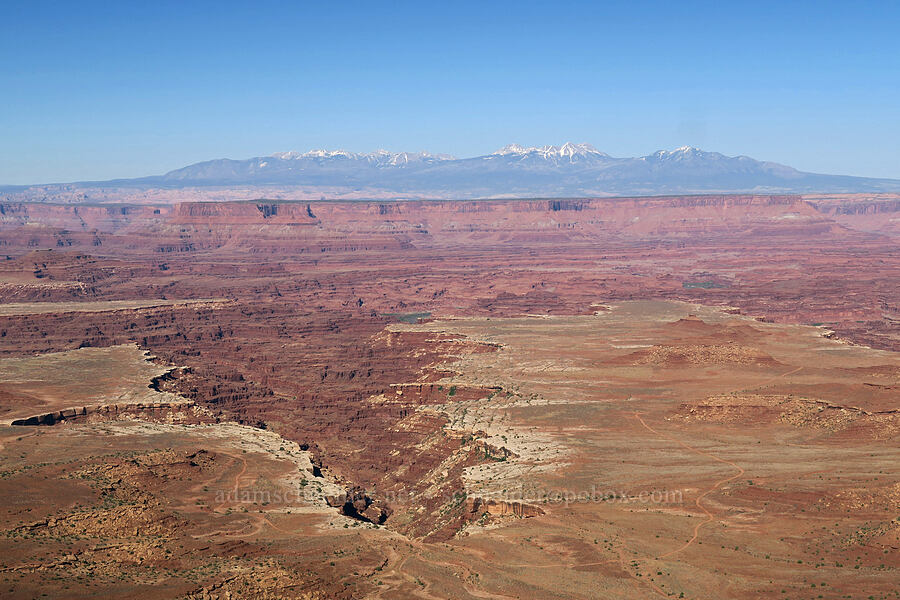 Buck Canyon & La Sal Mountains [Buck Canyon Overlook, Canyonlands National Park, San Juan County, Utah]
