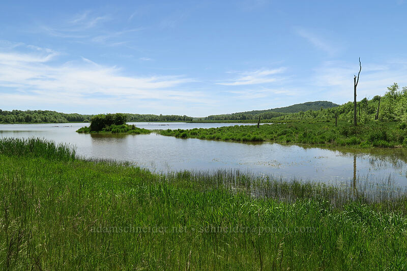 Cabell Marsh [Cabell Marsh Trail, Finley National Wildlife Refuge, Benton County, Oregon]