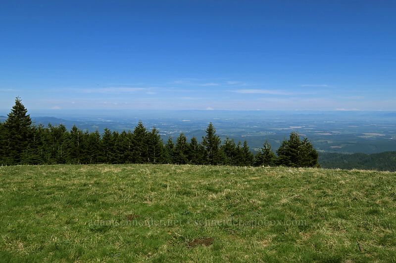 Cascade volcanoes [Mary's Peak summit, Siuslaw National Forest, Benton County, Oregon]