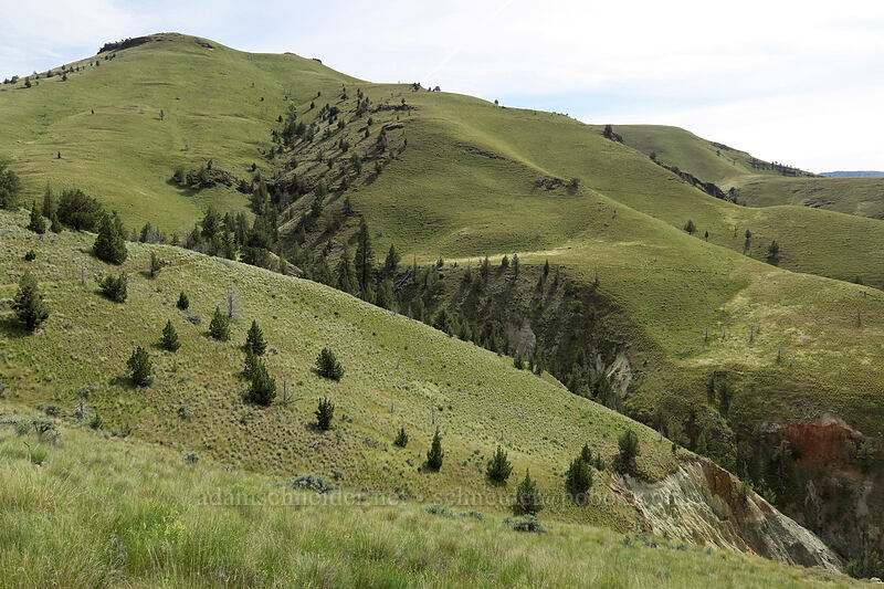 Middle Mountain [Blue Basin Trail, John Day Fossil Beds National Monument, Grant County, Oregon]