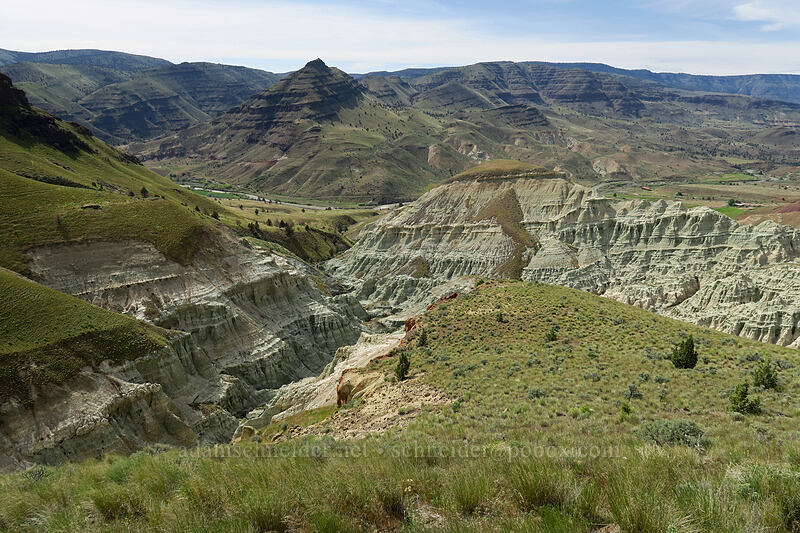 Blue Basin [Blue Basin Trail, John Day Fossil Beds National Monument, Grant County, Oregon]