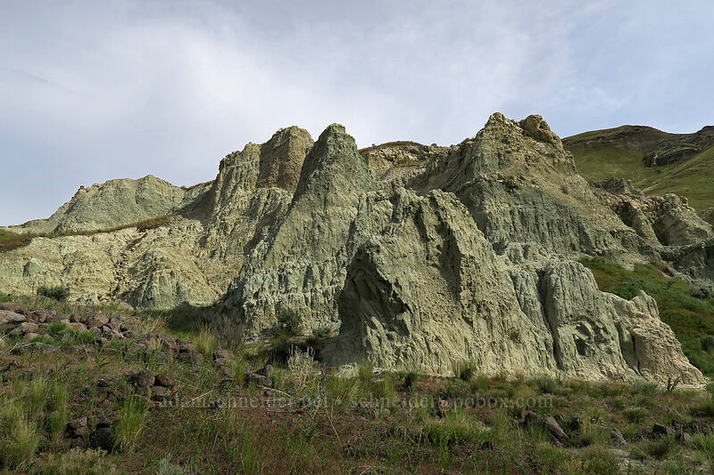bluish rocks [Blue Basin Trail, John Day Fossil Beds National Monument, Grant County, Oregon]
