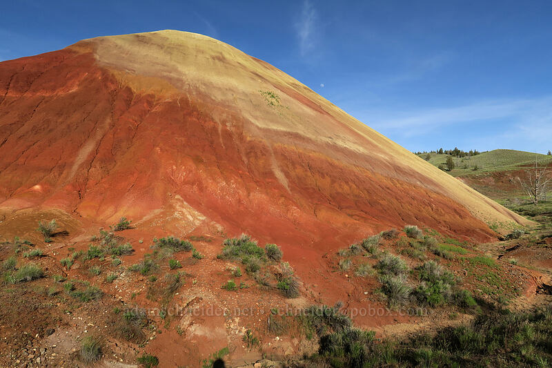 Red Scar Knoll [Red Hill Trail, John Day Fossil Beds National Monument, Wheeler County, Oregon]