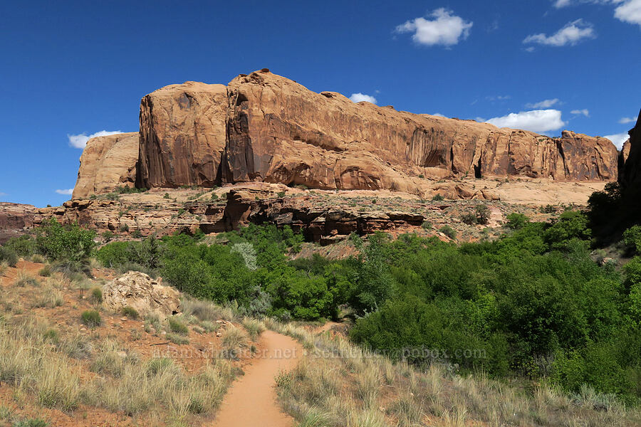 Grandstaff (Negro Bill) Canyon [Grandstaff Canyon, Grand County, Utah]