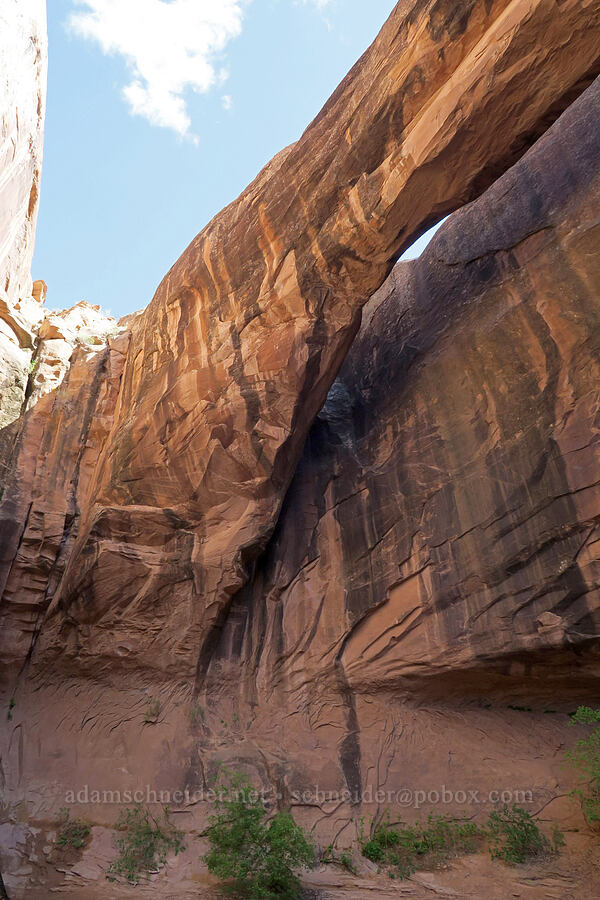 Morning Glory Arch [Grandstaff Canyon, Grand County, Utah]