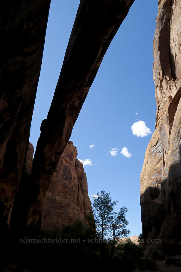 Morning Glory Arch [Grandstaff Canyon, Grand County, Utah]