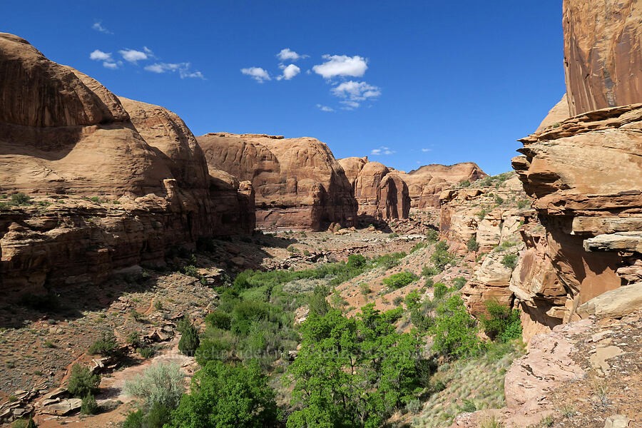 Grandstaff (Negro Bill) Canyon [Grandstaff Canyon, Grand County, Utah]
