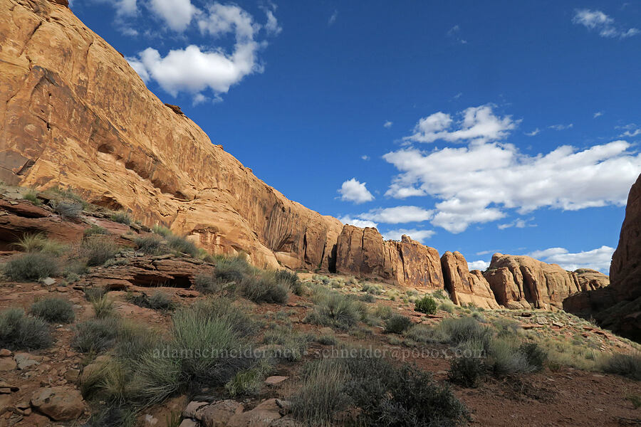 Grandstaff (Negro Bill) Canyon [Grandstaff Canyon, Grand County, Utah]