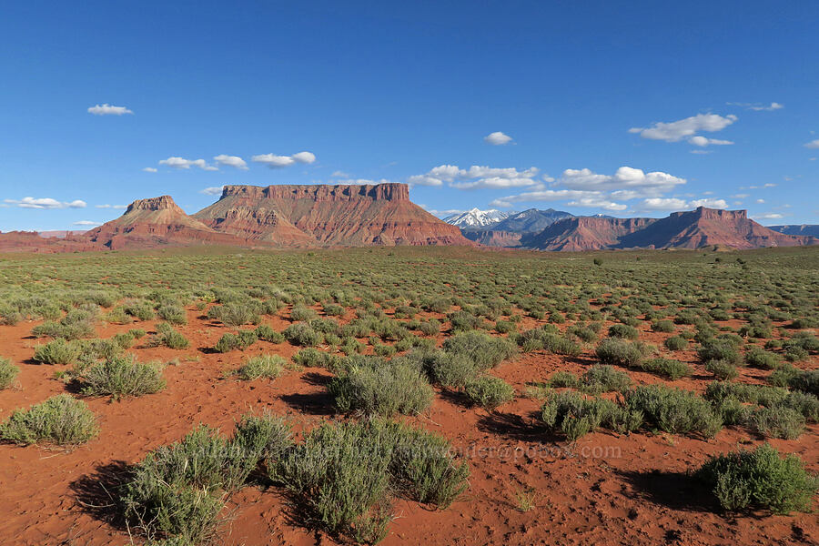 Fisher Mesa & Adobe Mesa [Utah SR-128, Grand County, Utah]