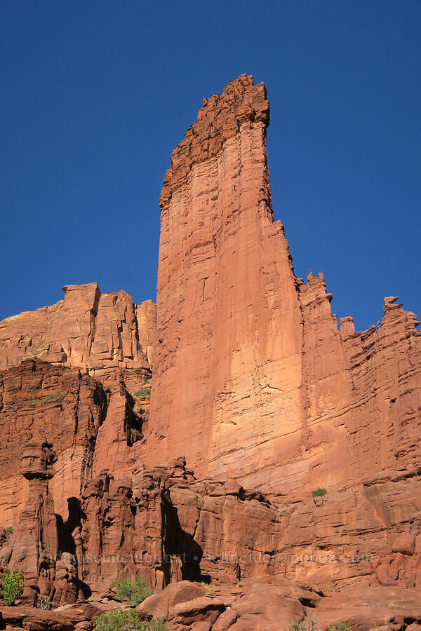 The Kingfisher [Fisher Towers Trail, Grand County, Utah]
