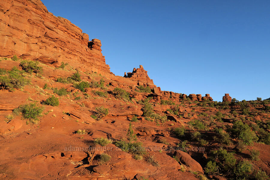 sandstone ridge [Fisher Towers Trail, Grand County, Utah]