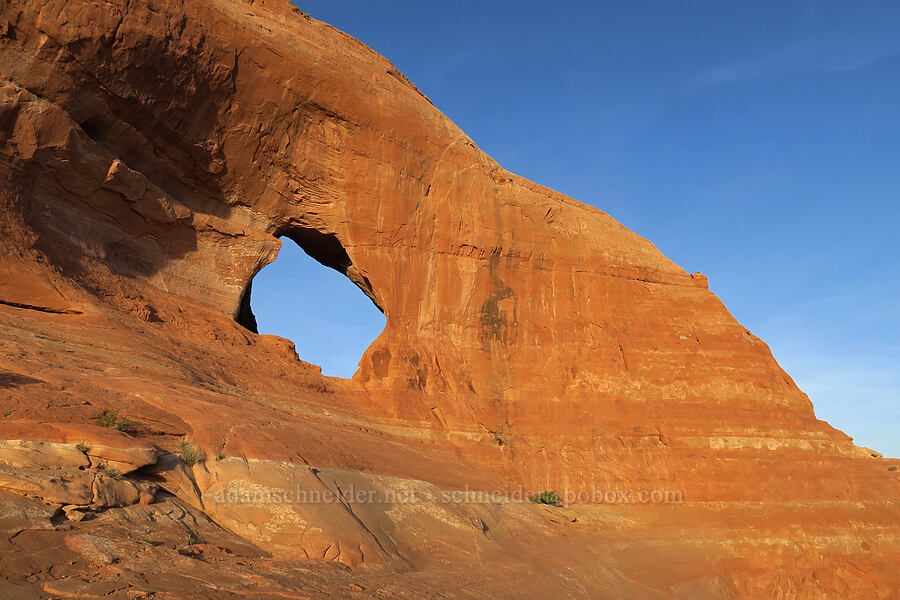 Looking Glass Arch [Looking Glass Rock, San Juan County, Utah]