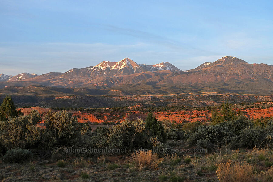 La Sal Mountains at sunset [Looking Glass Road, San Juan County, Utah]