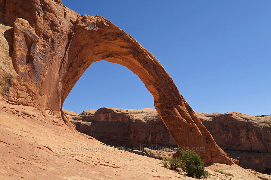 Corona Arch [Corona Arch Trail, Moab, Grand County, Utah]