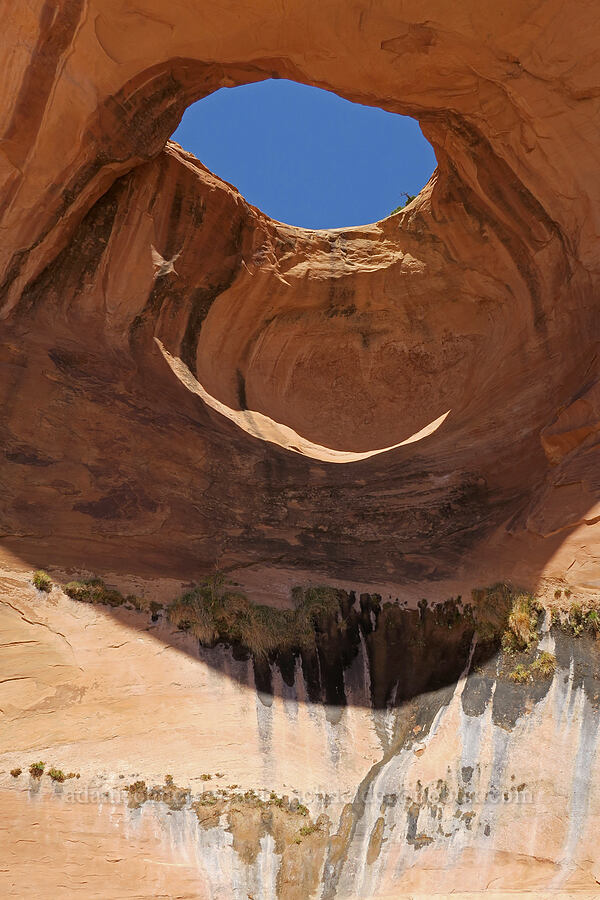 Bow Tie Arch & hanging gardens [Corona Arch Trail, Moab, Grand County, Utah]