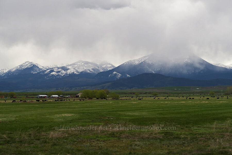 Elkhorn Mountains [I-84, Union County, Oregon]