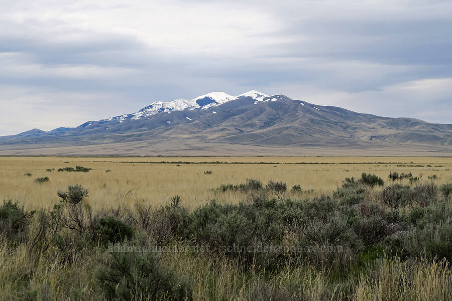 Black Pine Mountains [Point Springs Road, Cassia County, Idaho]