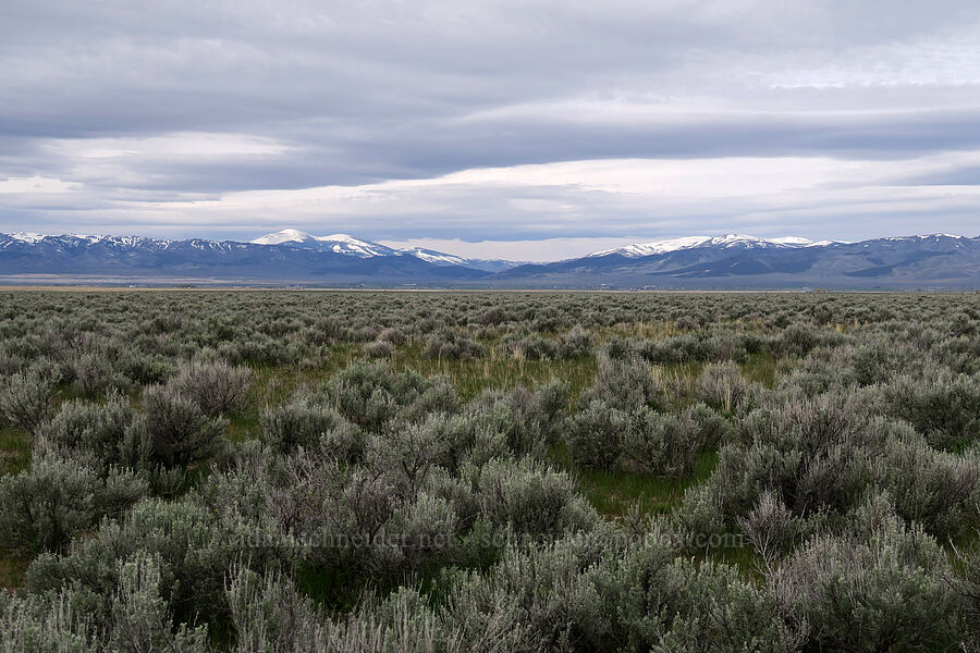 Albion Mountains [Point Springs Road, Cassia County, Idaho]
