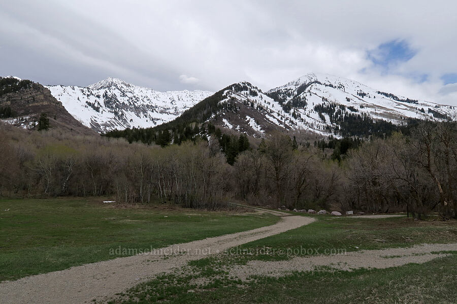 Provo Peak [Rock Canyon Campground, Provo, Utah County, Utah]