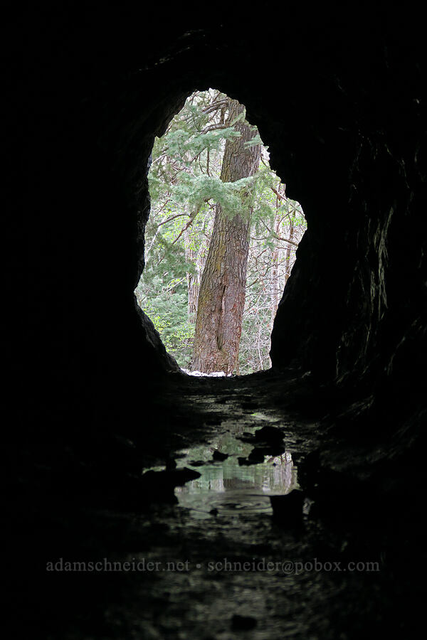view from inside a cave [Rock Canyon, Provo, Utah County, Utah]