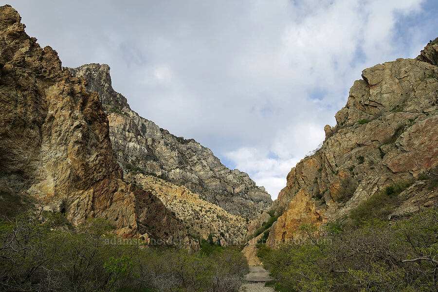 Rock Canyon [Rock Canyon Trail, Provo, Utah County, Utah]