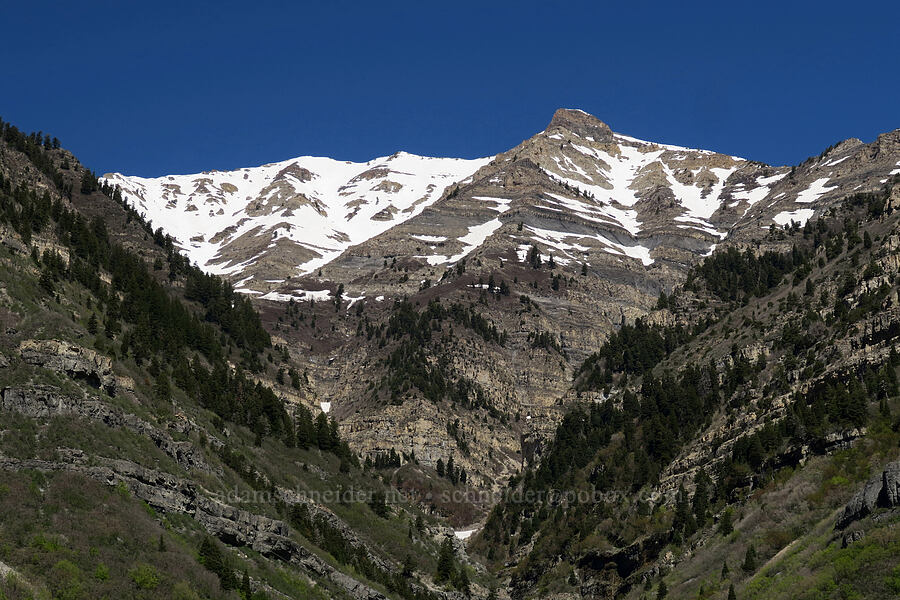Mount Timpanogos & Lost Creek Canyon [U.S. Highway 189, Utah County, Utah]