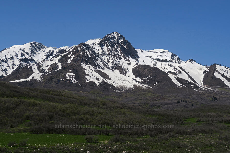 Strawberry Peak, Mt. Ogden [SR-167, Uinta-Wasatch-Cache National Forest, Morgan County, Utah]