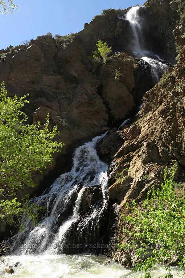 Ogden Canyon Waterfall [Ogden Canyon Road, Weber, Weber County, Utah]